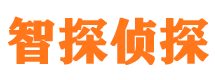 石渠侦探公司